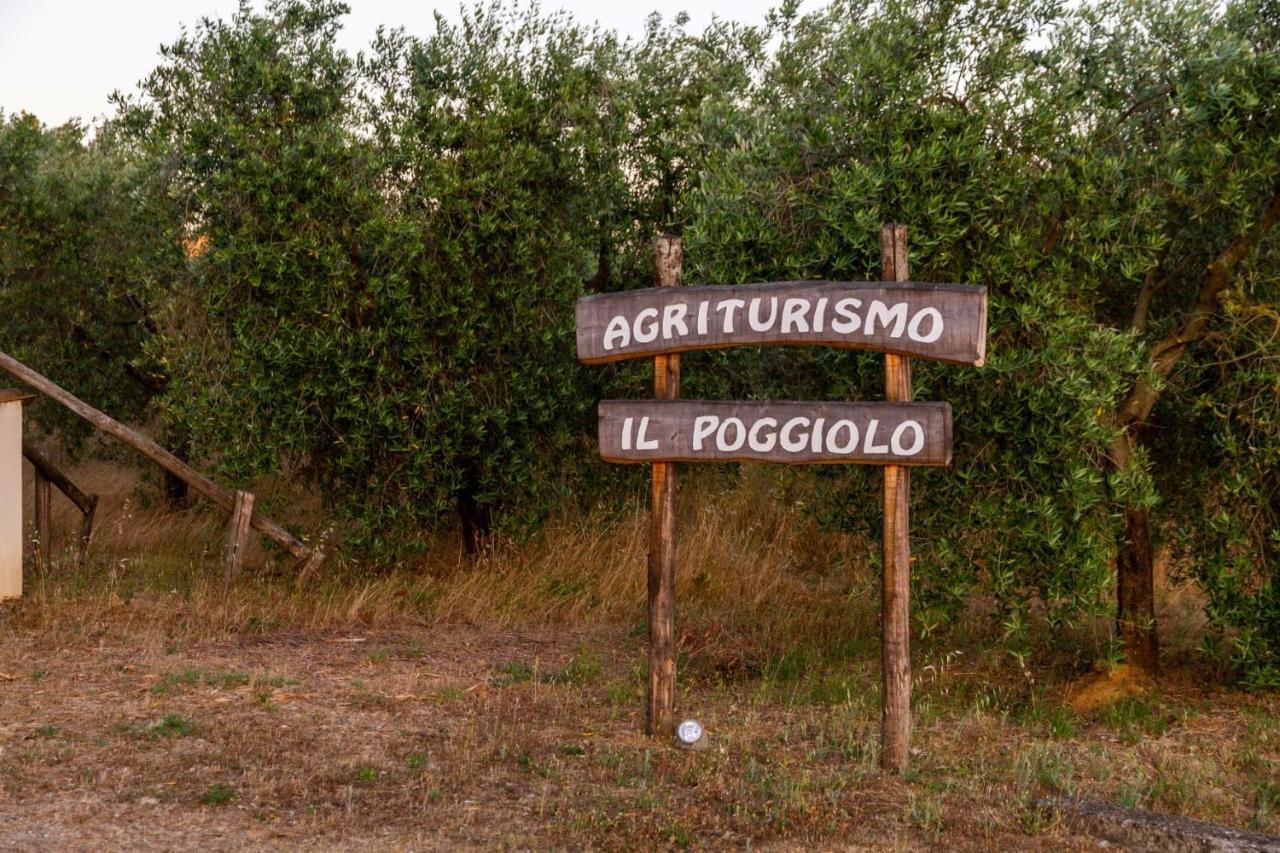 그레세토 Agriturismo Il Poggiolo 빌라 외부 사진